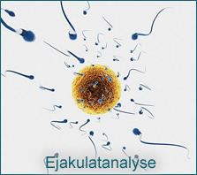 erectyle dysfuction