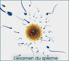 erectyle dysfuction